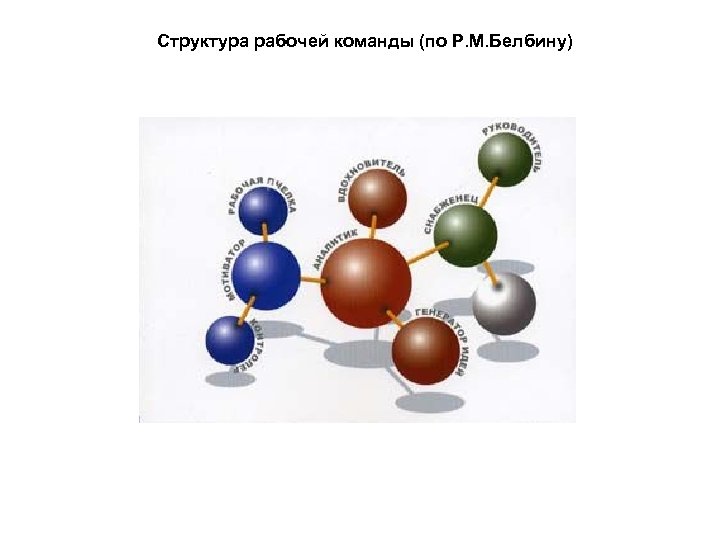Структура рабочей команды (по Р. М. Белбину) 