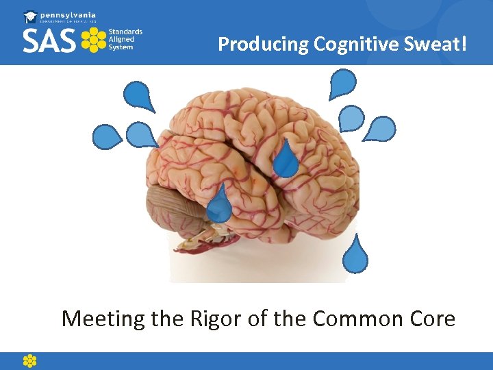 Producing Cognitive Sweat! Meeting the Rigor of the Common Core 