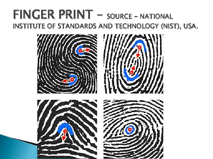 FINGER PRINT – SOURCE - NATIONAL INSTITUTE OF STANDARDS AND TECHNOLOGY (NIST), USA. 