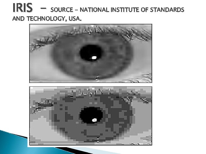 IRIS - SOURCE - NATIONAL INSTITUTE OF STANDARDS AND TECHNOLOGY, USA. 