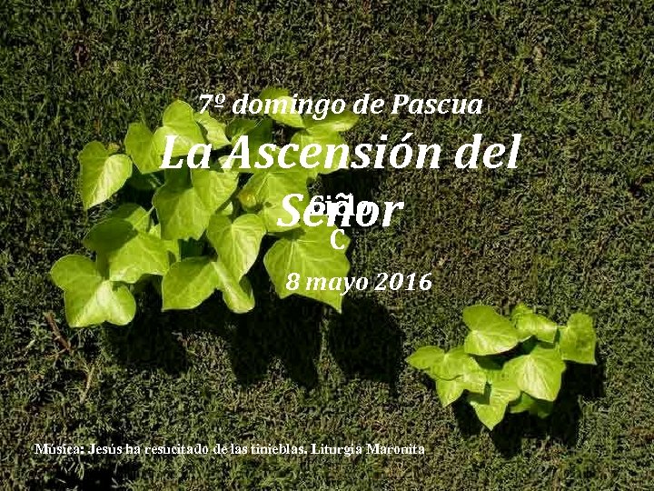 7º domingo de Pascua La Ascensión del Ciclo Señor C 8 mayo 2016 Música: