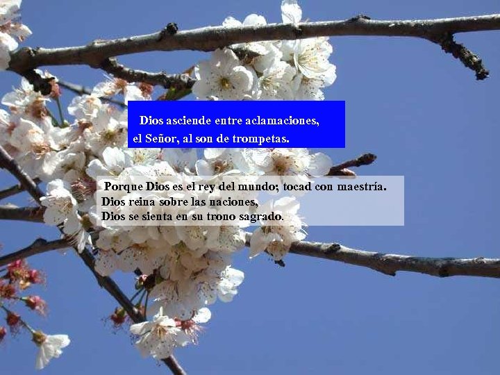 Dios asciende entre aclamaciones, el Señor, al son de trompetas. Porque Dios es el