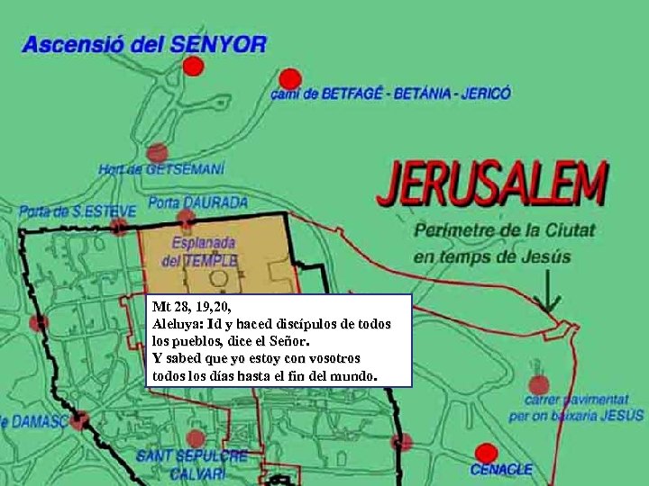 Mt 28, 19, 20, Aleluya: Id y haced discípulos de todos los pueblos, dice