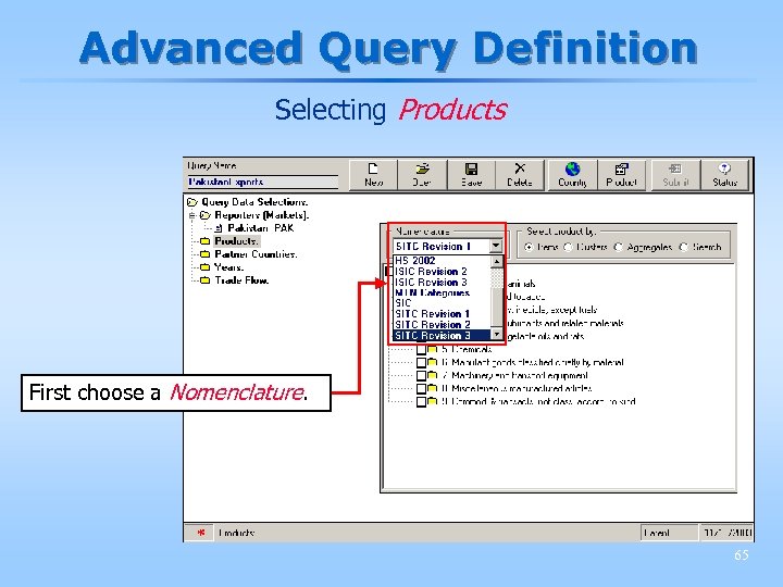Advanced Query Definition Selecting Products First choose a Nomenclature. 65 