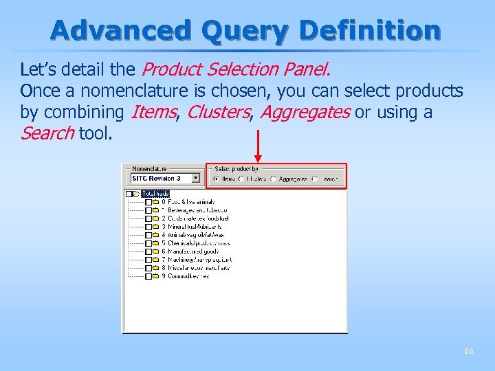 Advanced Query Definition Let’s detail the Product Selection Panel. Once a nomenclature is chosen,