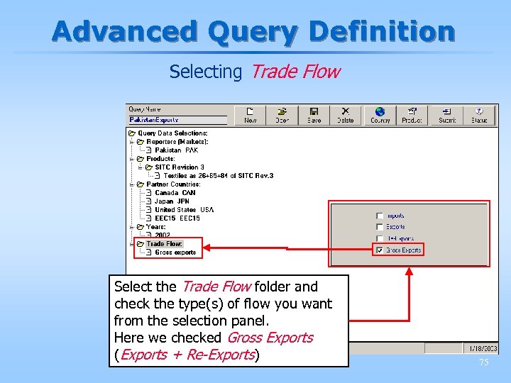 Advanced Query Definition Selecting Trade Flow Select the Trade Flow folder and check the