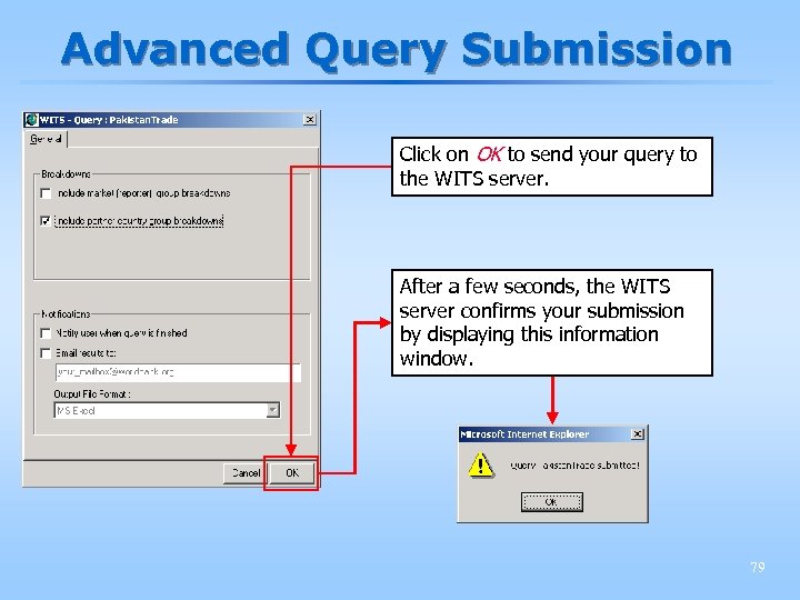 Advanced Query Submission Click on OK to send your query to the WITS server.