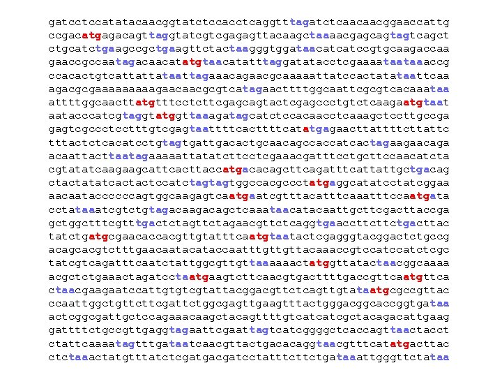gatcctccatatacaacggtatctccacctcaggtttagatctcaacaacggaaccattg ccgacatgagacagttaggtatcgtcgagagttacaagctaaaacgagcagtagtcagct ctgcatctgaagccgctgaagttctactaagggtggataacatcatccgtgcaagaccaa gaaccgccaatagacaacatatgtaacatatttaggatatacctcgaaaataataaaccg ccacactgtcattattataattagaaacagaacgcaaaaattatccactatataattcaa agacgcgaaaaagaacaacgcgtcatagaacttttggcaattcgcgtcacaaataa attttggcaacttatgtttcctcttcgagcagtactcgagccctgtctcaagaatgtaat aatacccatcgtaggtatggttaaagatagcatctccacaacctcaaagctccttgccga gagtcgccctcctttgtcgagtaattttcacttttcatatgagaacttattttcttattc tttactctcacatcctgtagtgattgacactgcaacagccaccatcactagaagaacaga acaattacttaatagaaaaattatatcttcctcgaaacgatttcctgcttccaacatcta cgtatatcaagaagcattcacttaccatgacacagcttcagatttcattattgctgacag ctactatatcactactccatctagtagtggccacgccctatgaggcatatcctatcggaa aacaataccccccagtggcaagagtcaatgaatcgtttacatttcaaatttccaatgata
