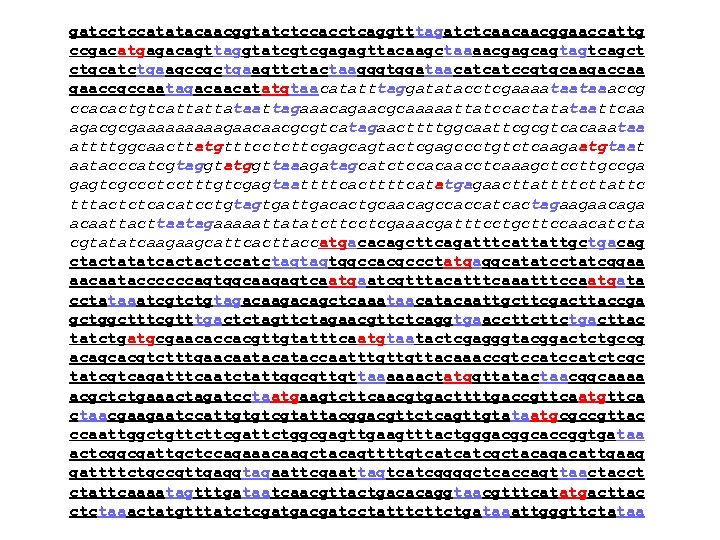 gatcctccatatacaacggtatctccacctcaggtttagatctcaacaacggaaccattg ccgacatgagacagttaggtatcgtcgagagttacaagctaaaacgagcagtagtcagct ctgcatctgaagccgctgaagttctactaagggtggataacatcatccgtgcaagaccaa gaaccgccaatagacaacatatgtaacatatttaggatatacctcgaaaataataaaccg ccacactgtcattattataattagaaacagaacgcaaaaattatccactatataattcaa agacgcgaaaaagaacaacgcgtcatagaacttttggcaattcgcgtcacaaataa attttggcaacttatgtttcctcttcgagcagtactcgagccctgtctcaagaatgtaat aatacccatcgtaggtatggttaaagatagcatctccacaacctcaaagctccttgccga gagtcgccctcctttgtcgagtaattttcacttttcatatgagaacttattttcttattc tttactctcacatcctgtagtgattgacactgcaacagccaccatcactagaagaacaga acaattacttaatagaaaaattatatcttcctcgaaacgatttcctgcttccaacatcta cgtatatcaagaagcattcacttaccatgacacagcttcagatttcattattgctgacag ctactatatcactactccatctagtagtggccacgccctatgaggcatatcctatcggaa aacaataccccccagtggcaagagtcaatgaatcgtttacatttcaaatttccaatgata