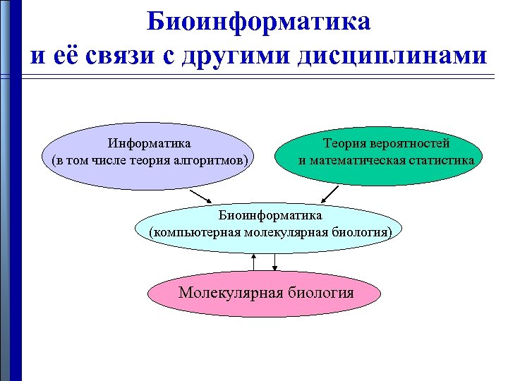 Биоинформатика и её связи с другими дисциплинами Информатика (в том числе теория алгоритмов) Теория