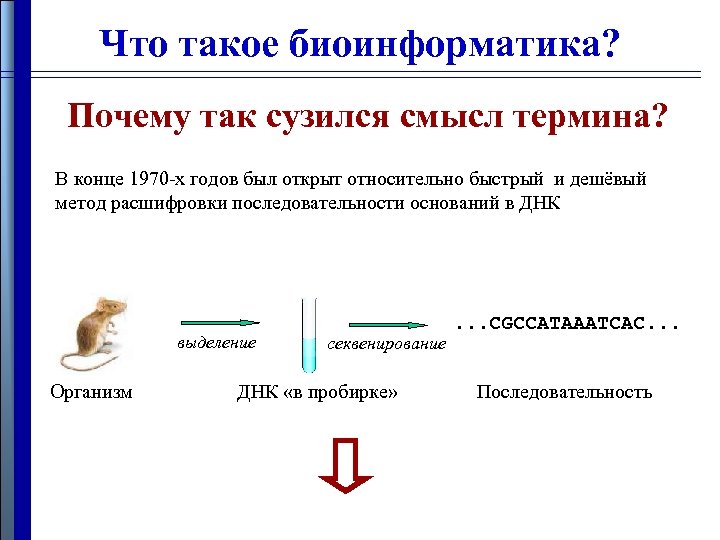 Что такое биоинформатика? Почему так сузился смысл термина? В конце 1970 -х годов был