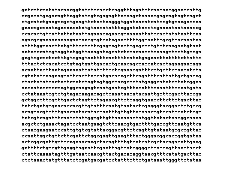 gatcctccatatacaacggtatctccacctcaggtttagatctcaacaacggaaccattg ccgacatgagacagttaggtatcgtcgagagttacaagctaaaacgagcagtagtcagct ctgcatctgaagccgctgaagttctactaagggtggataacatcatccgtgcaagaccaa gaaccgccaatagacaacatatgtaacatatttaggatatacctcgaaaataataaaccg ccacactgtcattattataattagaaacagaacgcaaaaattatccactatataattcaa agacgcgaaaaagaacaacgcgtcatagaacttttggcaattcgcgtcacaaataa attttggcaacttatgtttcctcttcgagcagtactcgagccctgtctcaagaatgtaat aatacccatcgtaggtatggttaaagatagcatctccacaacctcaaagctccttgccga gagtcgccctcctttgtcgagtaattttcacttttcatatgagaacttattttcttattc tttactctcacatcctgtagtgattgacactgcaacagccaccatcactagaagaacaga acaattacttaatagaaaaattatatcttcctcgaaacgatttcctgcttccaacatcta cgtatatcaagaagcattcacttaccatgacacagcttcagatttcattattgctgacag ctactatatcactactccatctagtagtggccacgccctatgaggcatatcctatcggaa aacaataccccccagtggcaagagtcaatgaatcgtttacatttcaaatttccaatgata