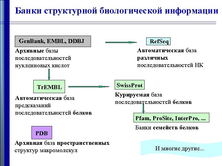 Банки структурной биологической информации Gen. Bank, EMBL, DDBJ Архивные базы последовательностей нуклеиновых кислот Tr.