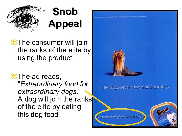 Snob Appeal z The consumer will join the ranks of the elite by using