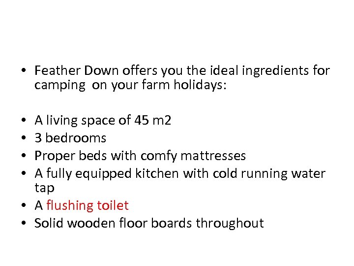  • Feather Down offers you the ideal ingredients for camping on your farm