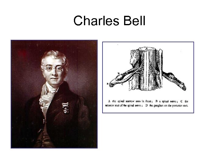 Charles Bell 