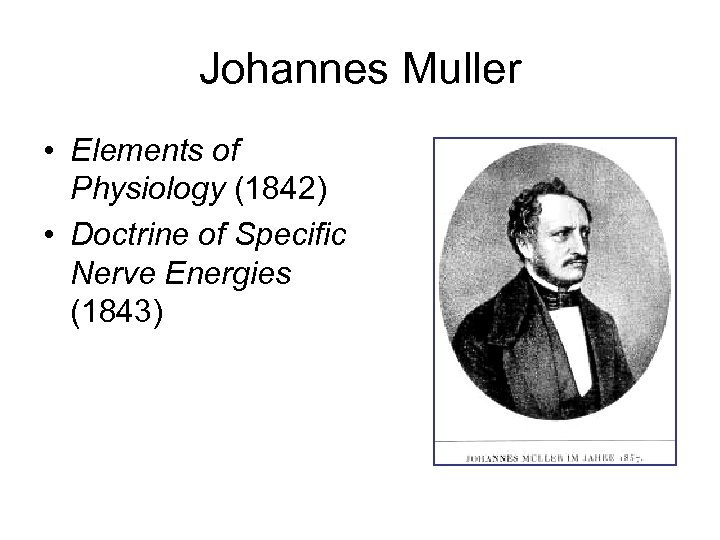 Johannes Muller • Elements of Physiology (1842) • Doctrine of Specific Nerve Energies (1843)
