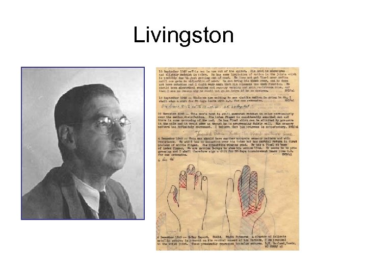 Livingston 