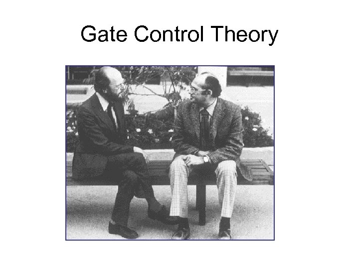 Gate Control Theory 