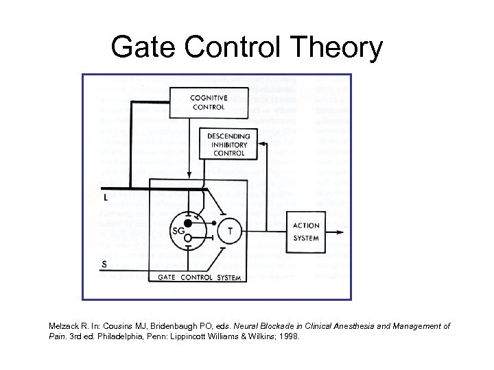 Gate Control Theory Melzack R. In: Cousins MJ, Bridenbaugh PO, eds. Neural Blockade in