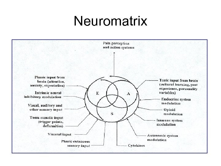 Neuromatrix 
