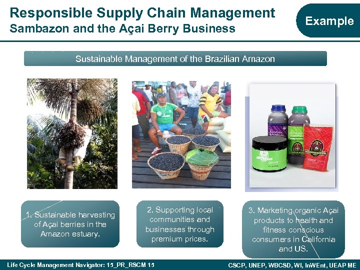 Responsible Supply Chain Management Sambazon and the Açai Berry Business Example Sustainable Management of