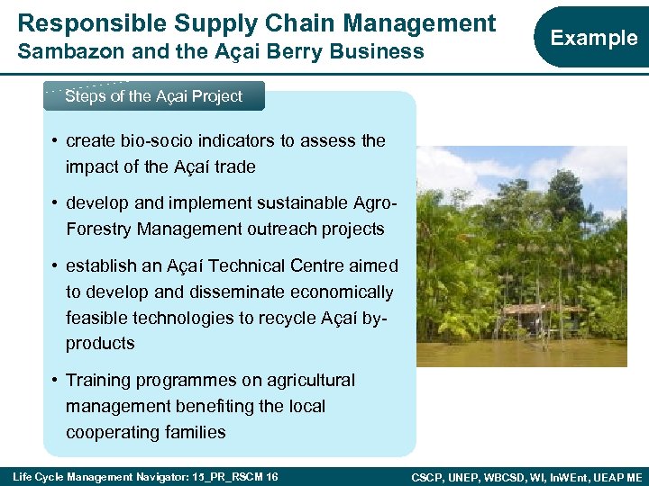 Responsible Supply Chain Management Sambazon and the Açai Berry Business Example Steps of the