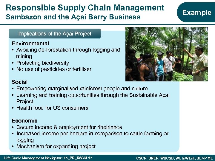 Responsible Supply Chain Management Sambazon and the Açai Berry Business Example Implications of the