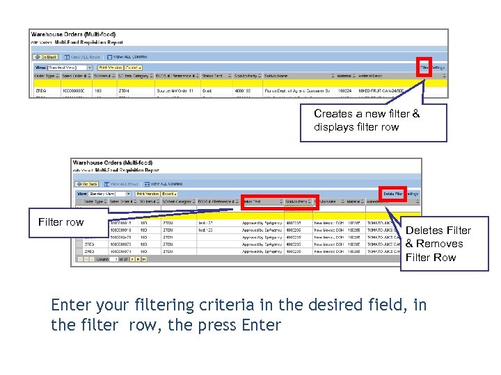 Filtering a Report Creates a new filter & displays filter row Filter row Deletes