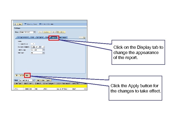 Display Functions Click on the Display tab to change the appearance of the report.