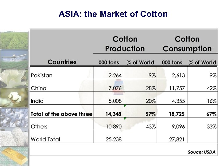 ASIA: the Market of Cotton 