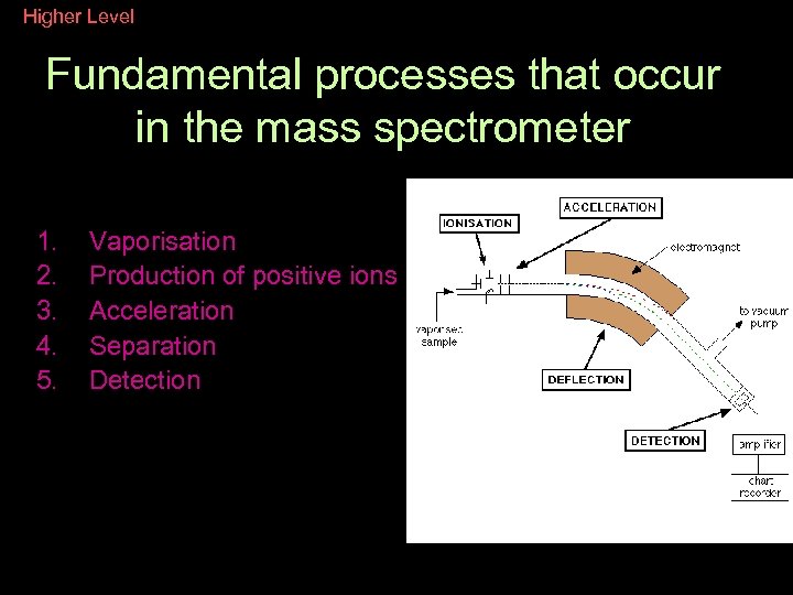 Higher Level Fundamental processes that occur in the mass spectrometer 1. 2. 3. 4.