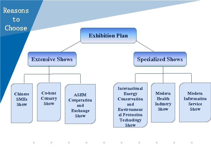 Reasons to Choose Exhibition Plan Extensive Shows Chinese SMEs Show Co-host Country Show ASEM