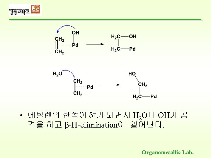  • 에틸렌의 한쪽이 +가 되면서 H 2 O나 OH가 공 격을 하고 -H-elimination이