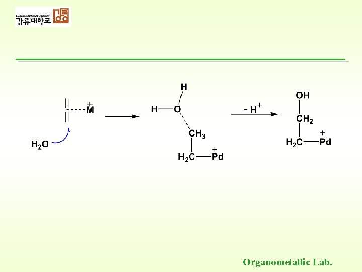 Organometallic Lab. 