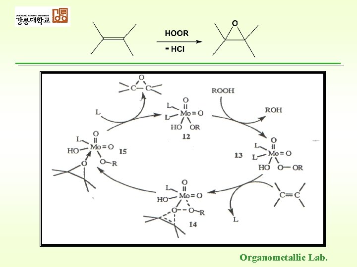 Organometallic Lab. 