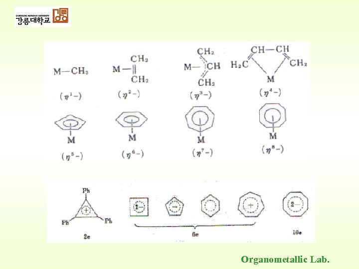 Organometallic Lab. 