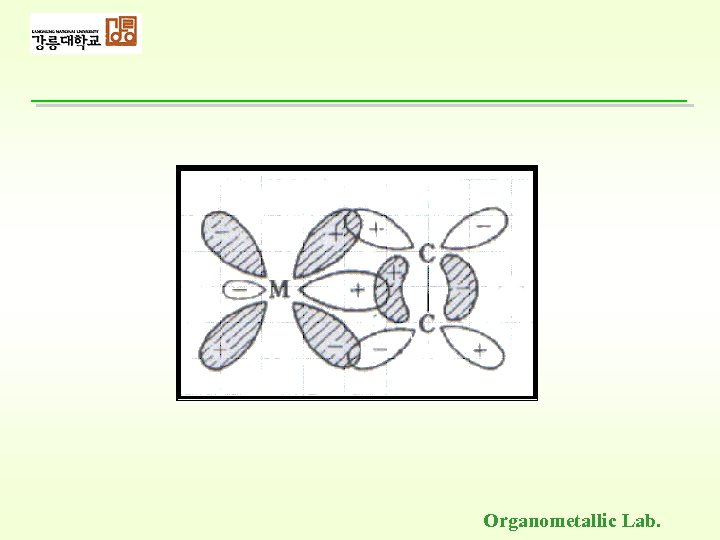 Organometallic Lab. 