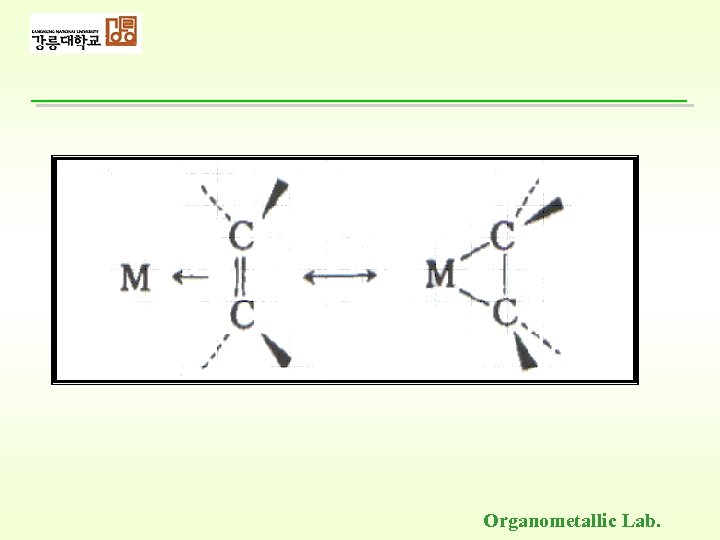 Organometallic Lab. 