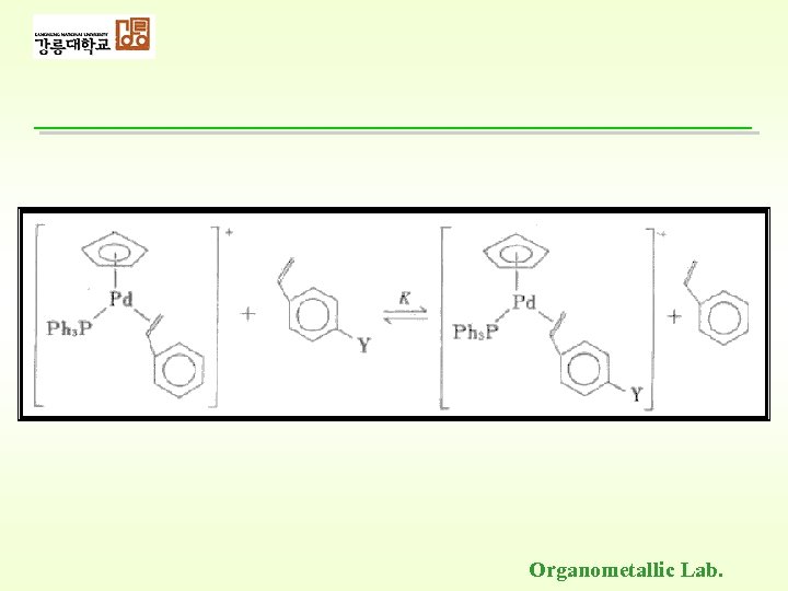 Organometallic Lab. 