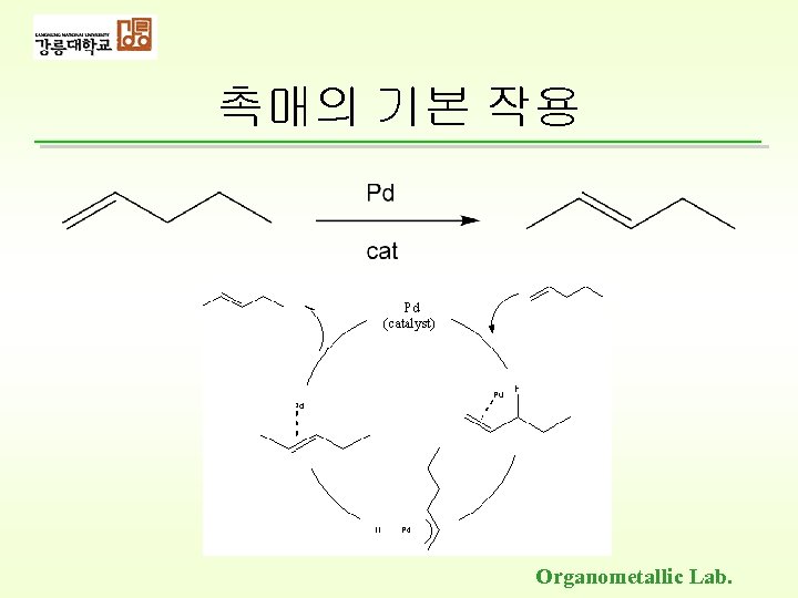 촉매의 기본 작용 Organometallic Lab. 