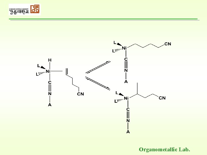 Organometallic Lab. 