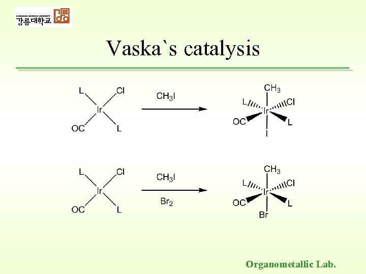 Vaska`s catalysis Organometallic Lab. 