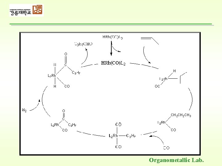 Organometallic Lab. 