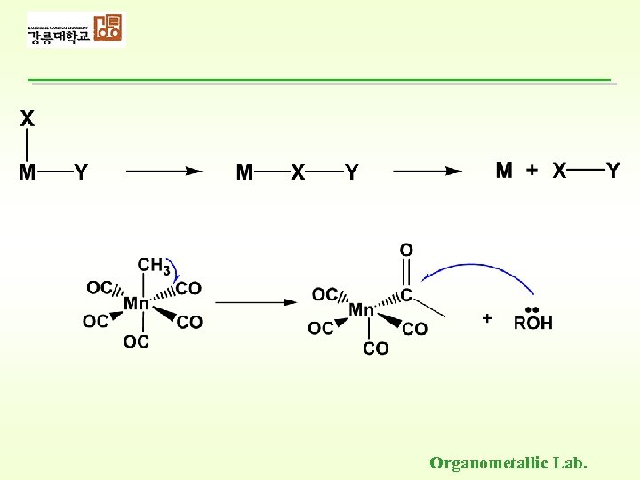 Organometallic Lab. 