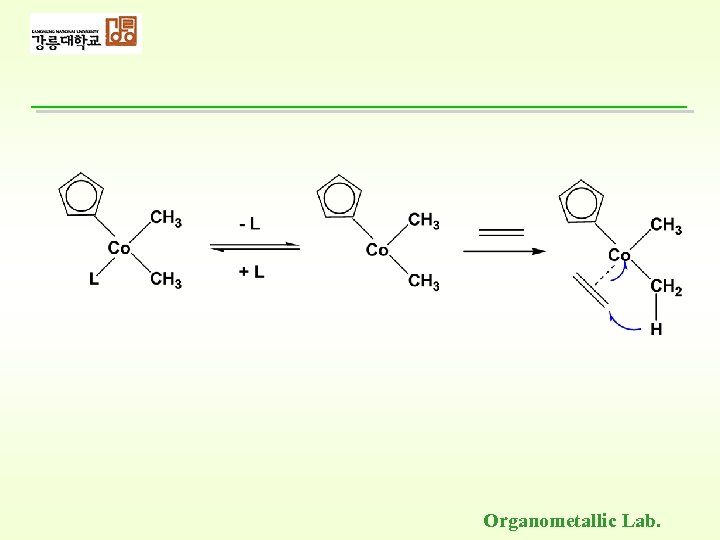 Organometallic Lab. 