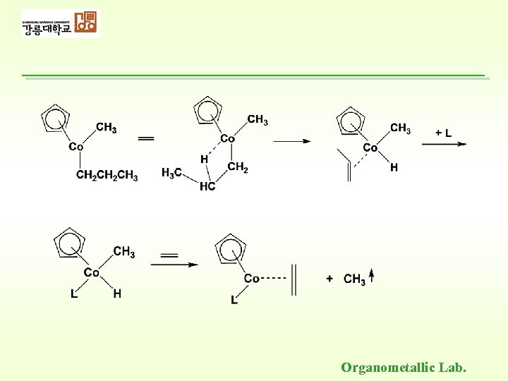 Organometallic Lab. 