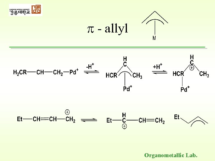  - allyl Organometallic Lab. 