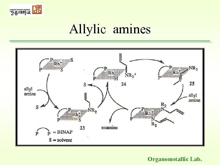 Allylic amines Organometallic Lab. 