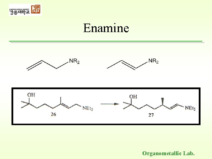 Enamine Organometallic Lab. 